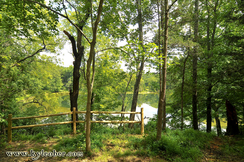 View of Pond